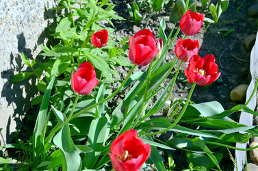 Similar image 22205239