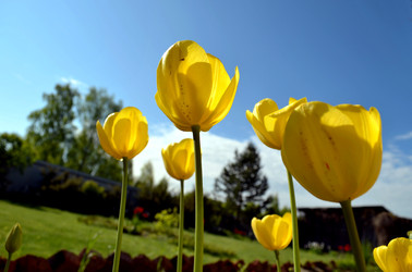 Similar image 22205240