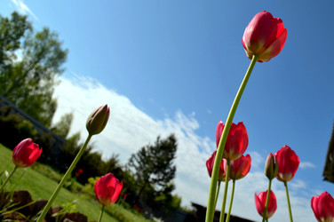 Similar image 22205241