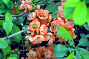 Similar image 22205242