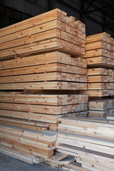 Similar image 22204484