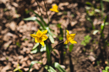 Similar image 22201455