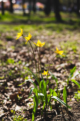 Similar image 22201456