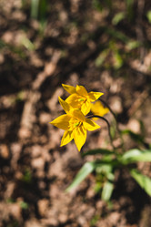 Similar image 22201457