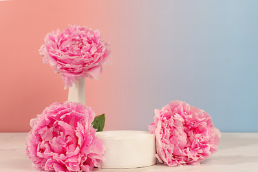 Similar image 22203617