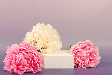 Similar image 22203620