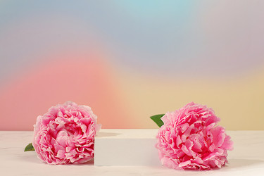 Similar image 22203621