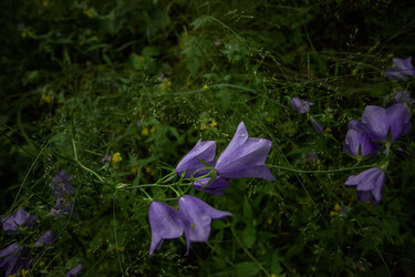 Similar image 22201503