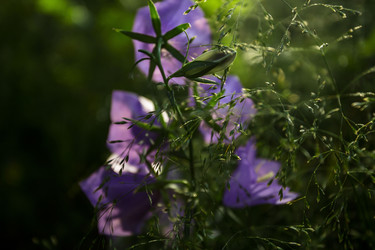 Similar image 22201504