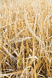 Similar image 22201841