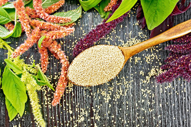 Similar image 22201849