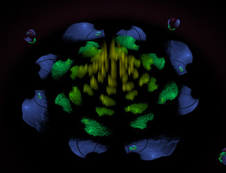 Similar image 22210302