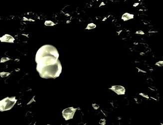 Similar image 22210305