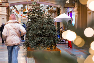 Similar image 22201939