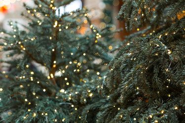 Similar image 22201942