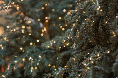 Similar image 22201951