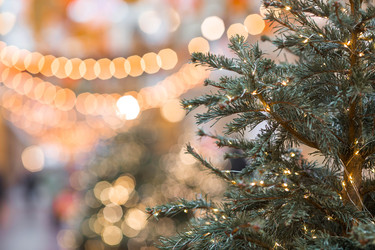 Similar image 22201957