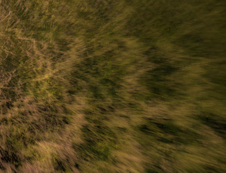 Similar image 22210320