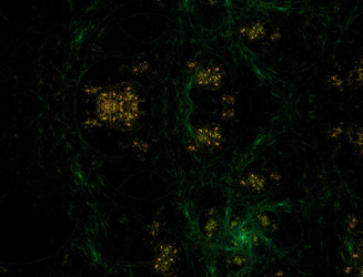 Similar image 22210322