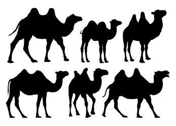 Similar image 22201507