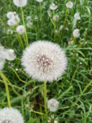 Similar image 22202205