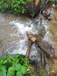 Similar image 22202207