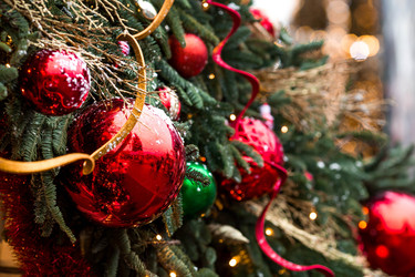 Similar image 22201981