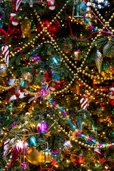 Similar image 22201994