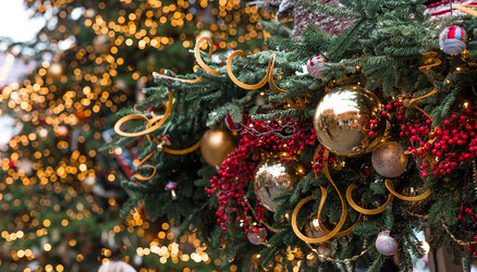 Similar image 22201996