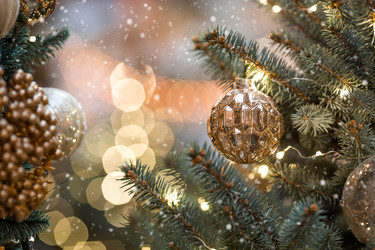 Similar image 22201997