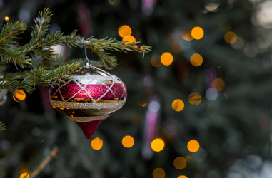 Similar image 22201998