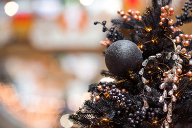 Similar image 22202001