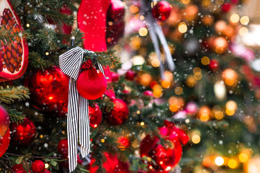 Similar image 22202004