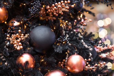 Similar image 22202005