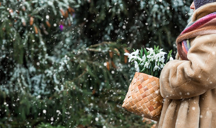 Similar image 22202006