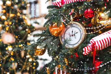 Similar image 22202008