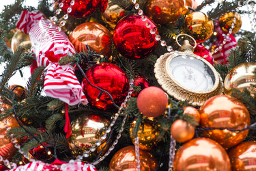 Similar image 22202009