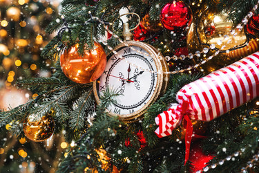 Similar image 22202010