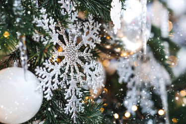 Similar image 22202013