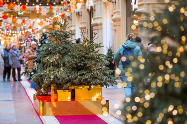 Similar image 22202015