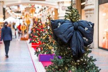 Similar image 22202016