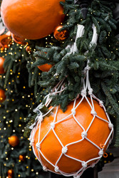 Similar image 22202021