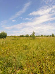 Similar image 22201698