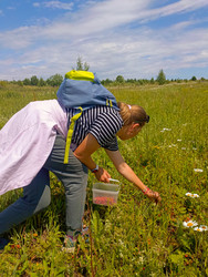 Similar image 22201703