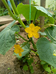 Similar image 22201704