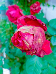 Similar image 22201785