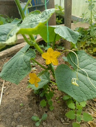 Similar image 22201786