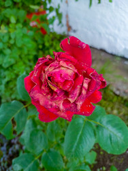 Similar image 22201787