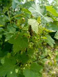 Similar image 22201790