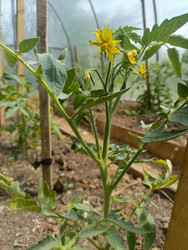 Similar image 22201792